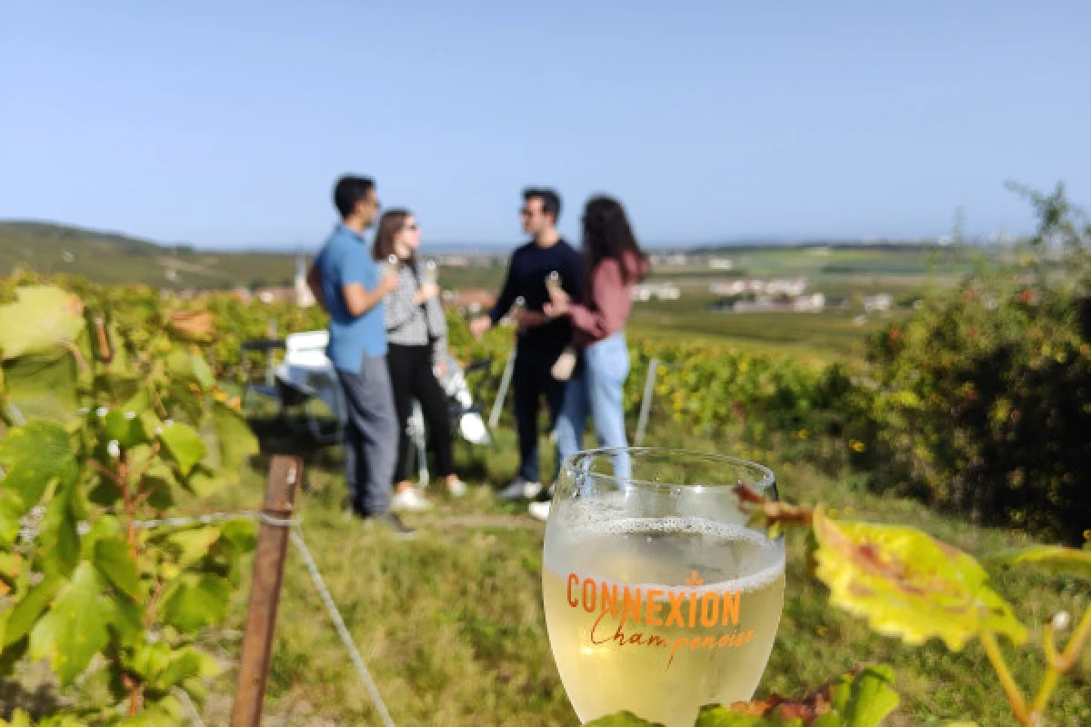 La Terre & Ciel Business 4h, vignoble, vol, dégustation - Exploregion