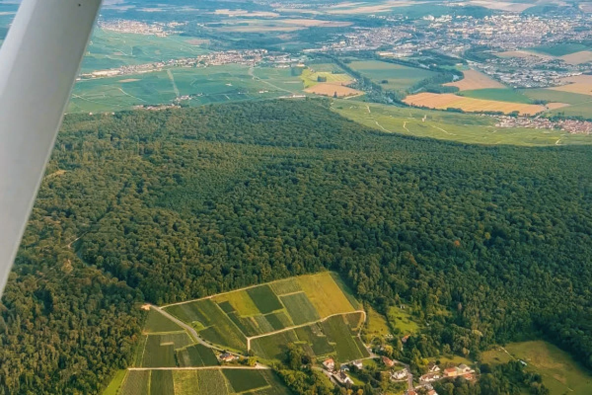 La Terre & Ciel Business 4h, vignoble, vol, dégustation - Exploregion