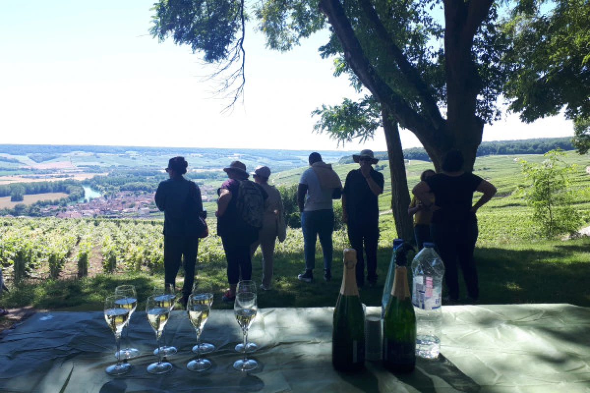 La Terre & Ciel 8h00 vignoble vol et dégustation - Exploregion