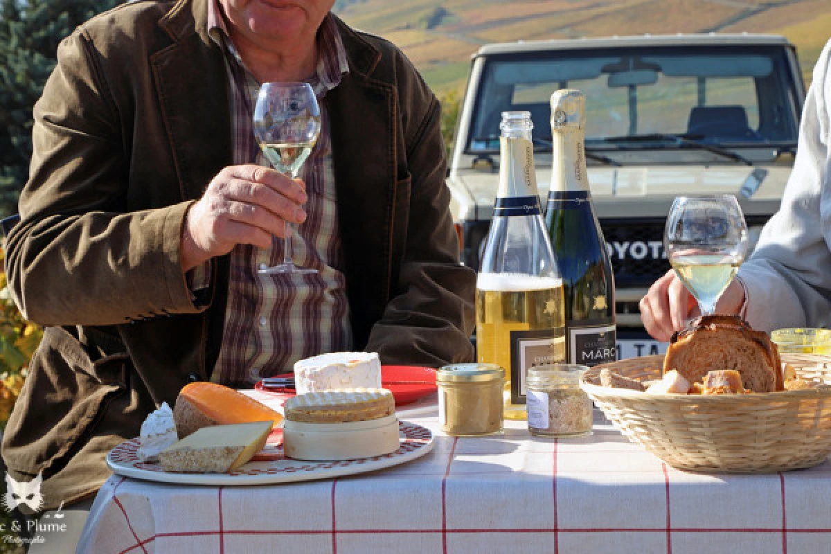 Expériences Sensorielles Vigneronnes - Exploregion