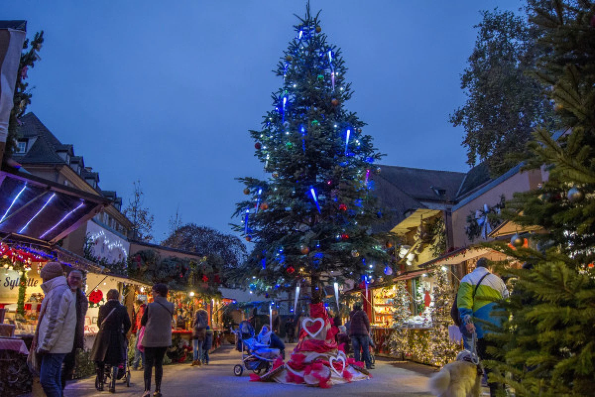 Villages Alsaciens et Marché de Noël de Colmar - Exploregion