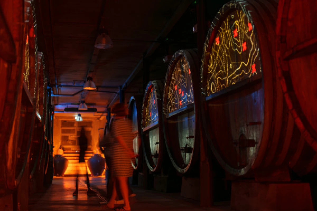 Dégustation de 5 vins et visite de cave immersive - Exploregion