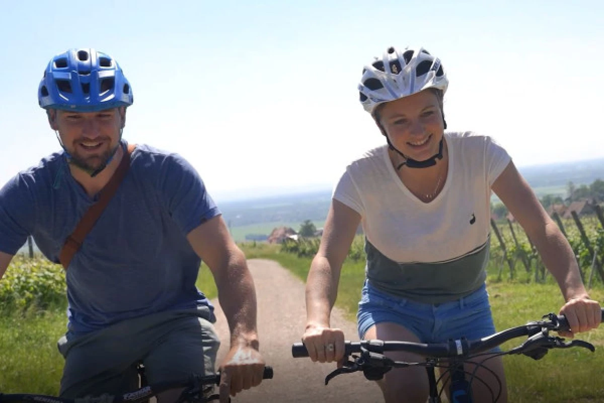 Vélo électrique, Pique-Nique & Vin - Exploregion