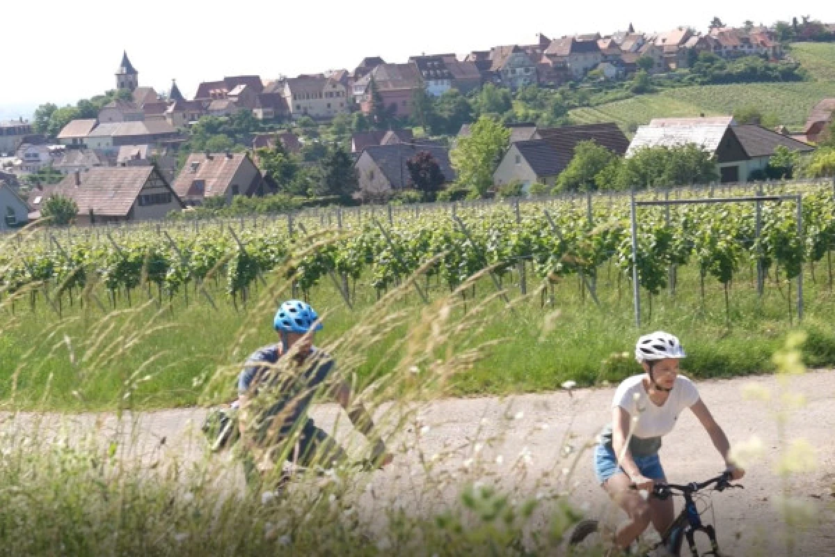 Vélo électrique, Pique-Nique & Vin - Exploregion