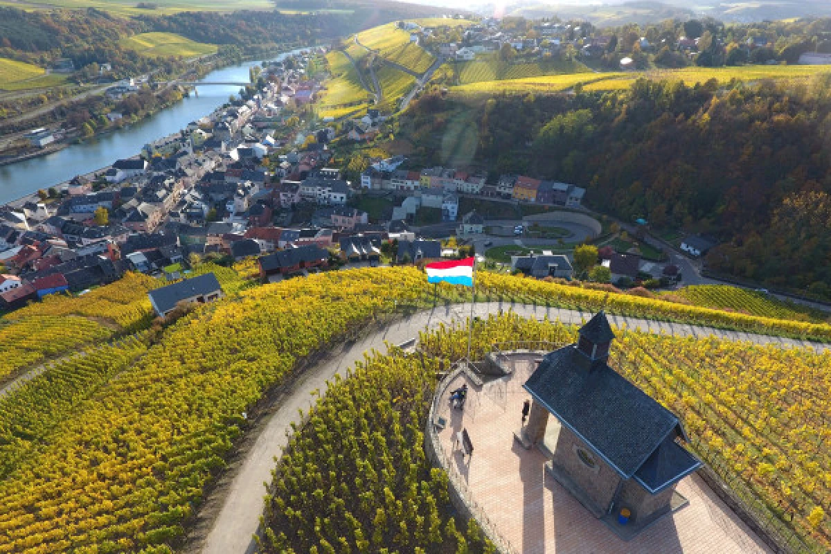 Journée de découverte du River & Wine Moselle Tour - Exploregion