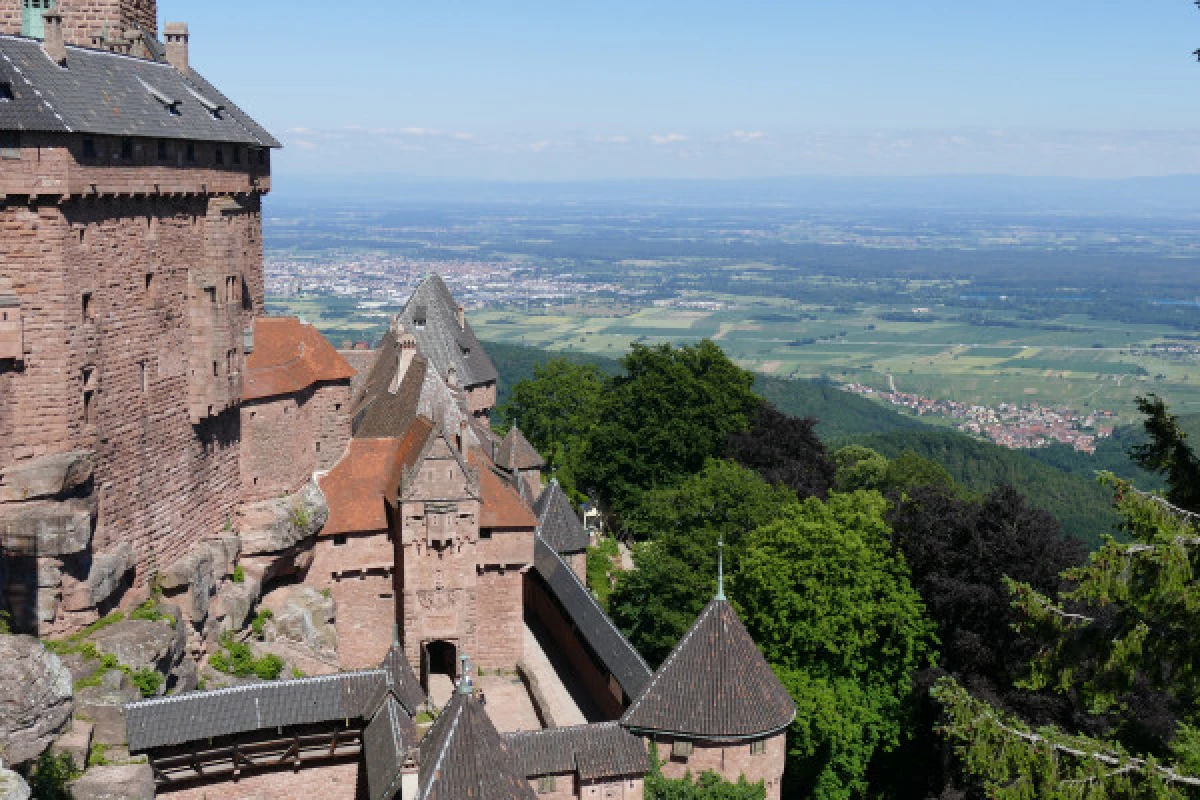 Tour "Best Of Alsace" depuis Strasbourg - Exploregion