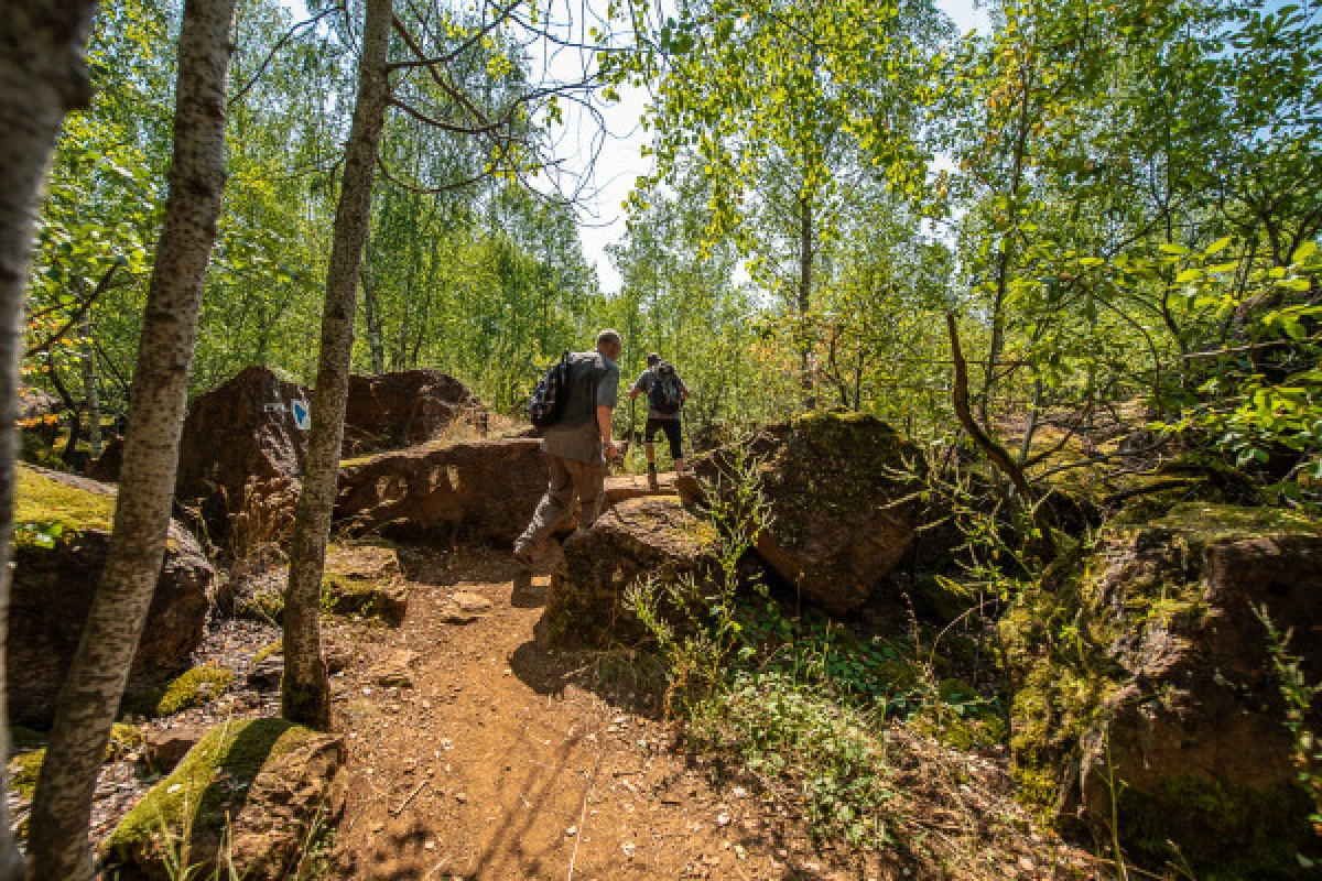 Ticket Groupe: Randonnée guidée des réserves naturelles - Exploregion