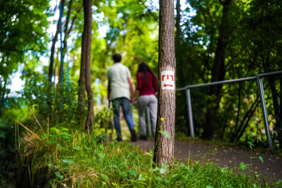 Visite guidée du Minett Trail - Exploregion