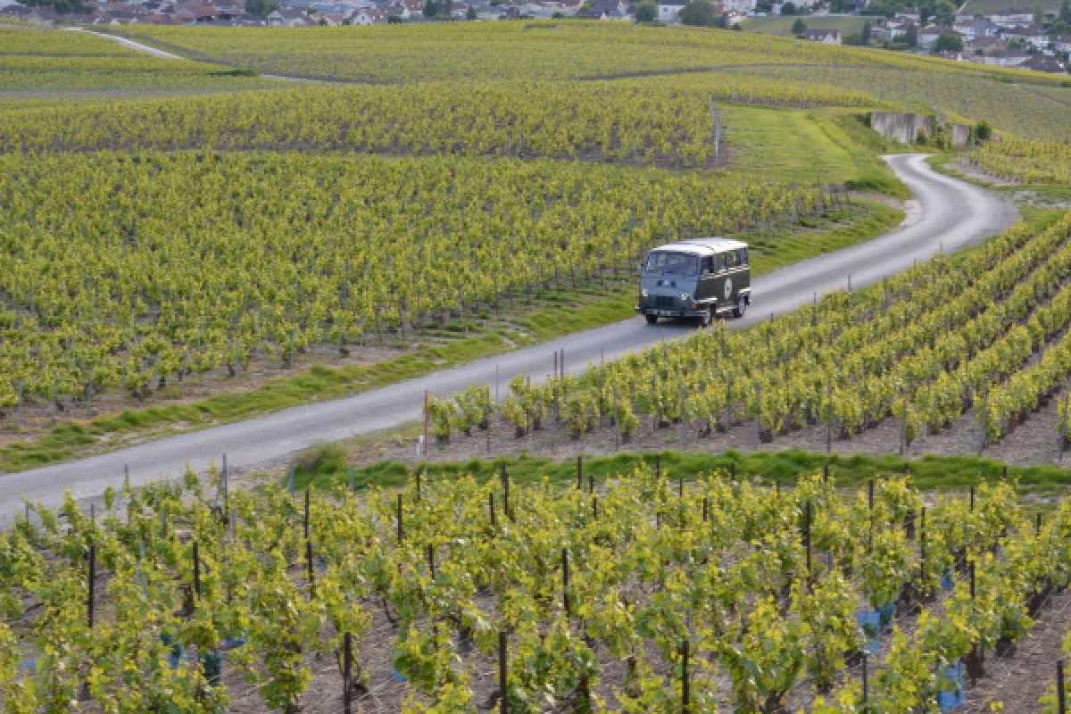 L’Essentiel Tour au départ d'Epernay - Exploregion