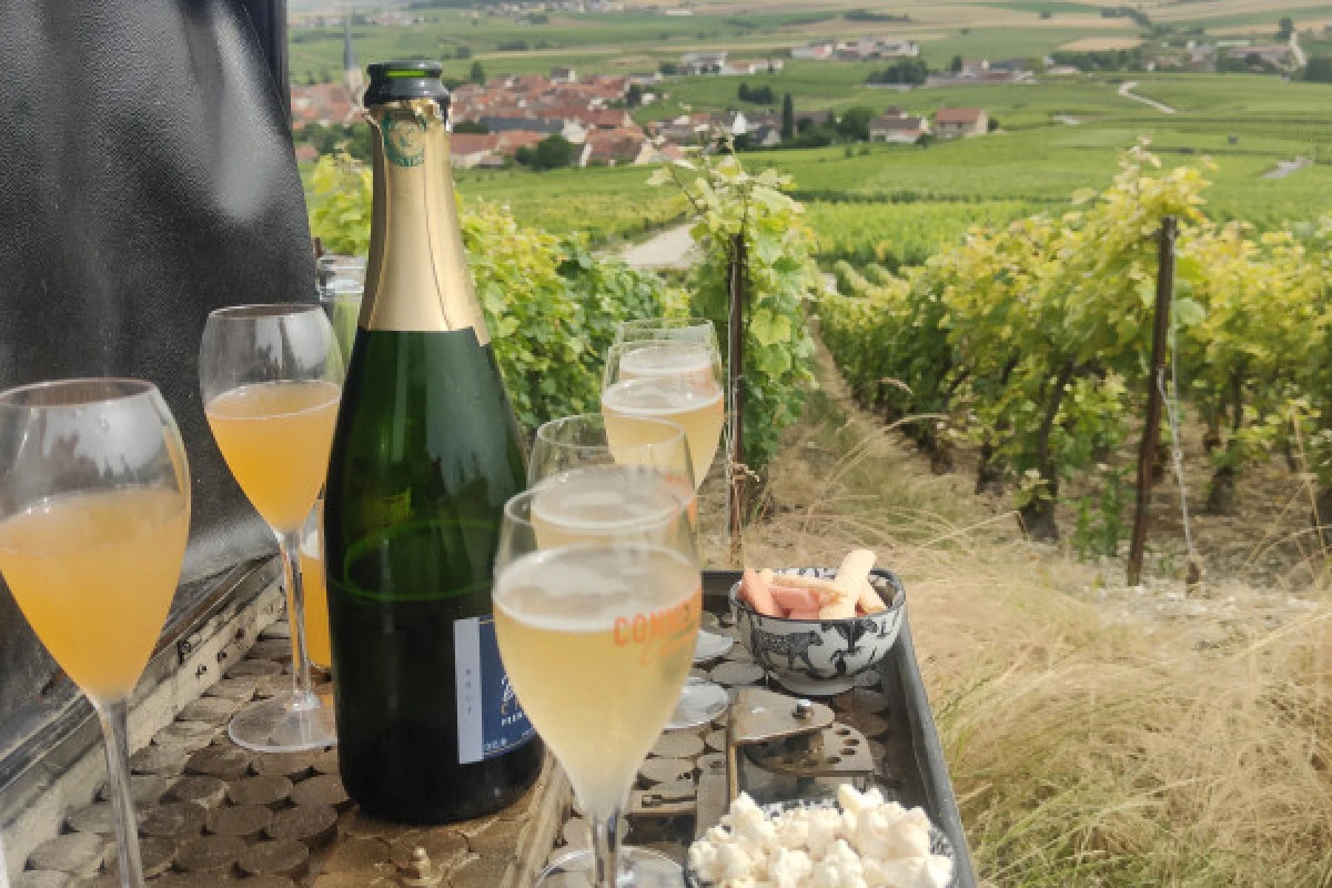 L'Incontournable dégustation de champagne, vue sur Reims - Exploregion