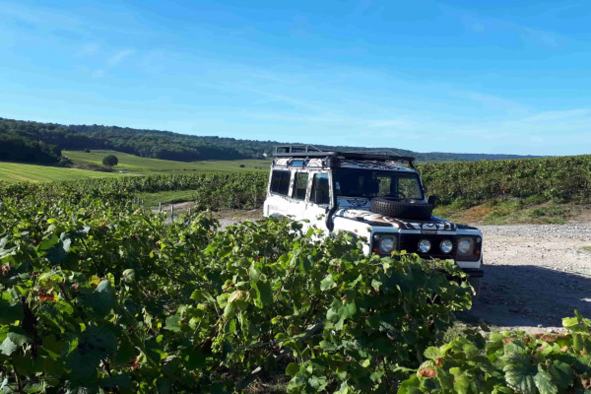 La Champenoise Brut tradition visite de cave et vignoble - Exploregion