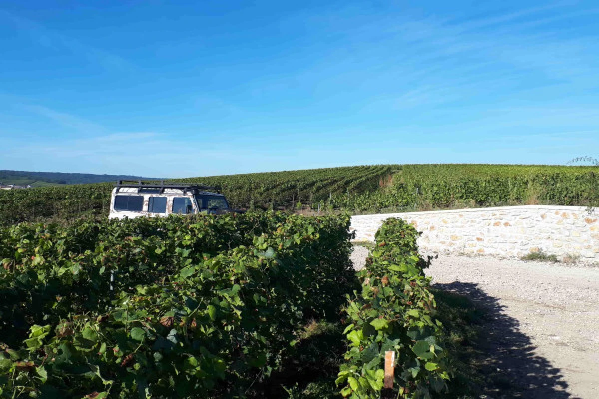 La champenoise 4h00 brut tradition visite et dégustation - Exploregion