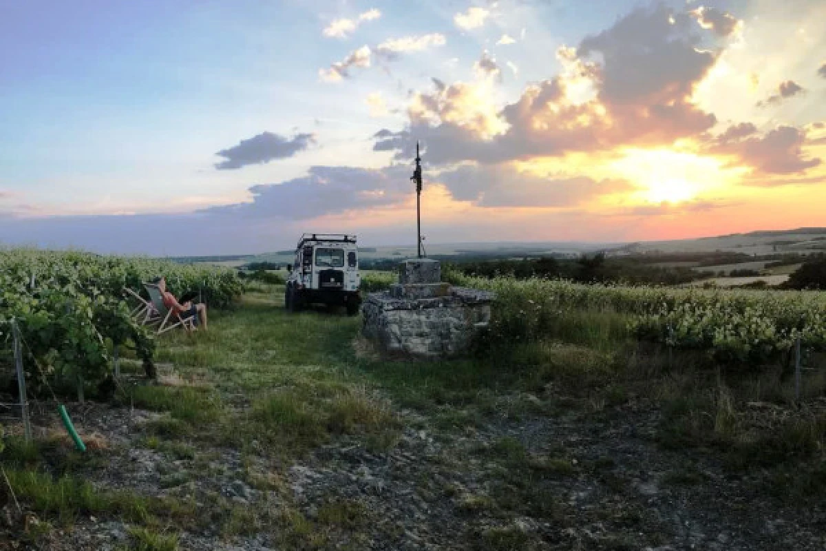 La Sunset, Champagne et coucher du soleil vue sur Reims - Exploregion