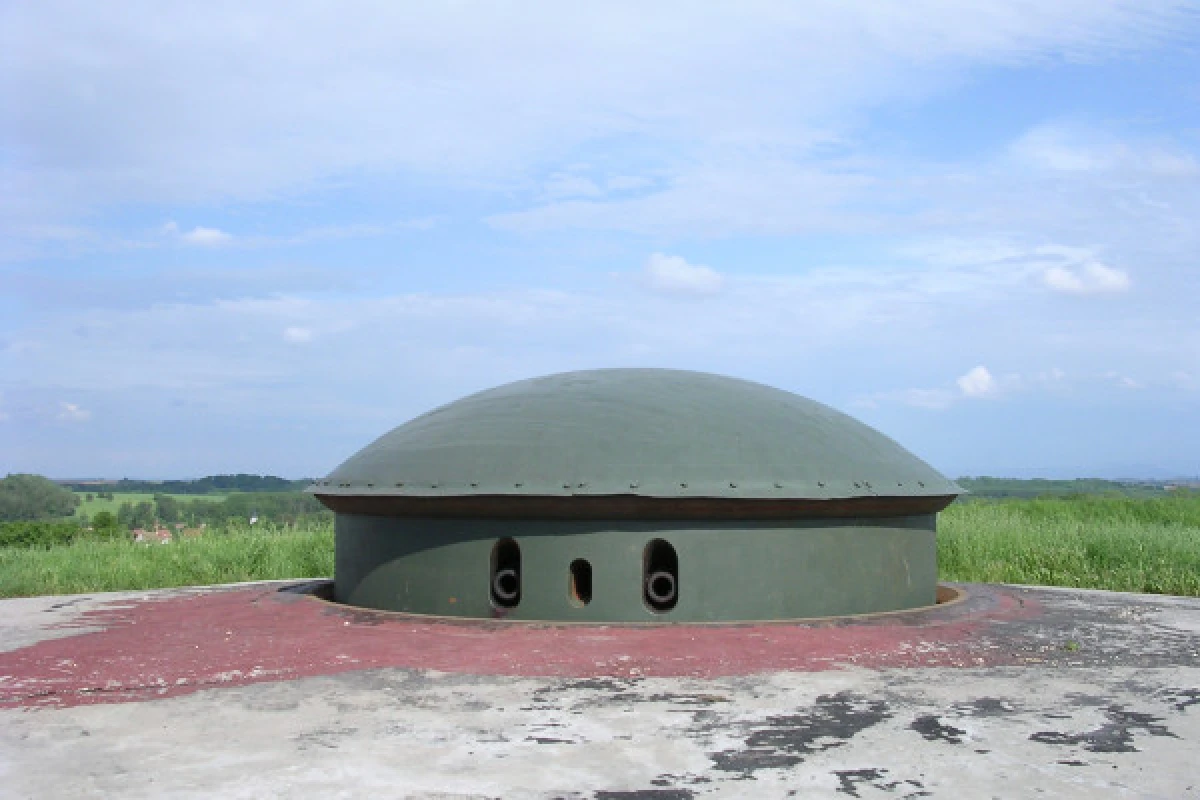 Billet d'entrée Ligne Maginot "Fort de Schoenenbourg" - Exploregion