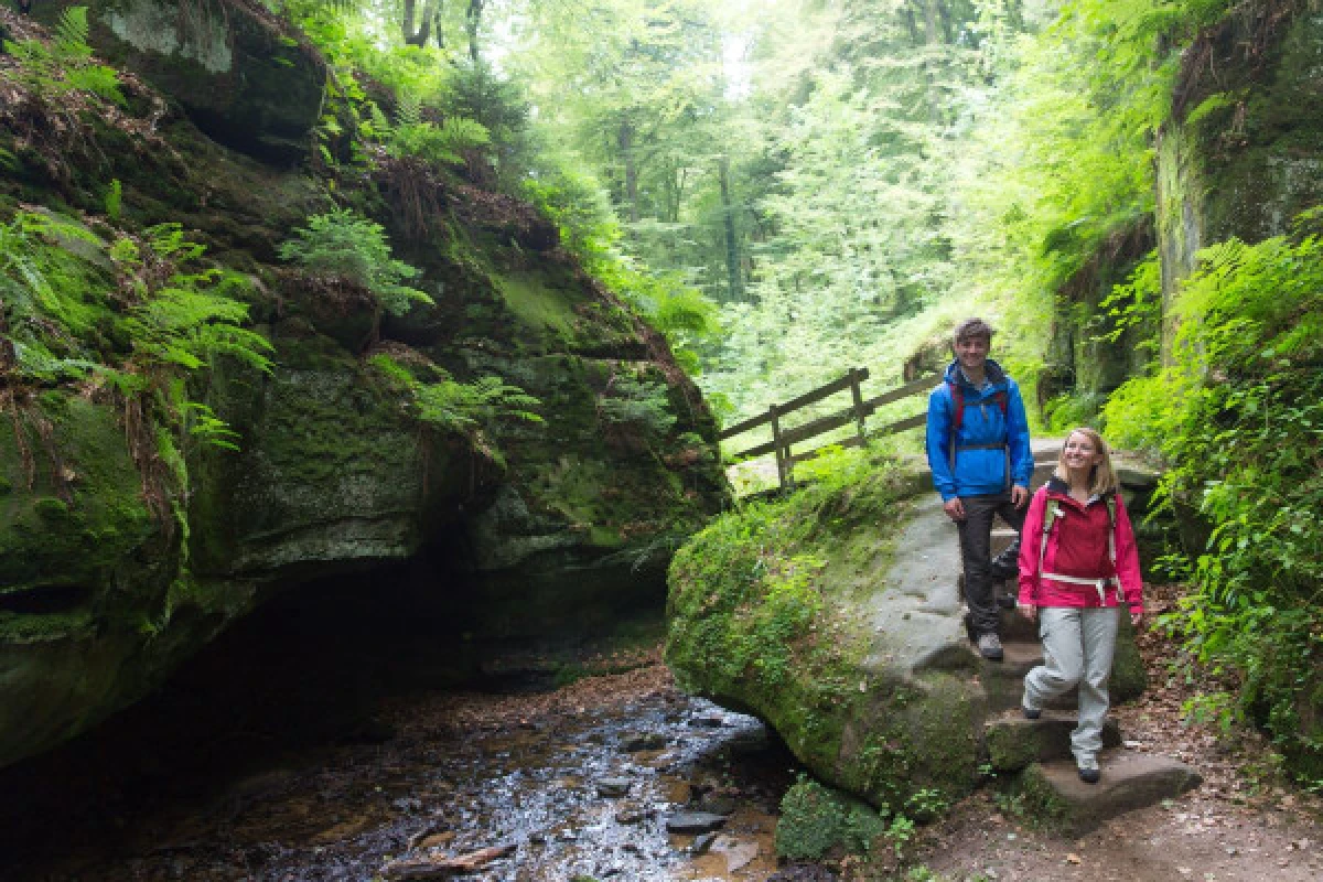 Nature & Châteaux du Luxembourg: Circuit d'une journée - Exploregion