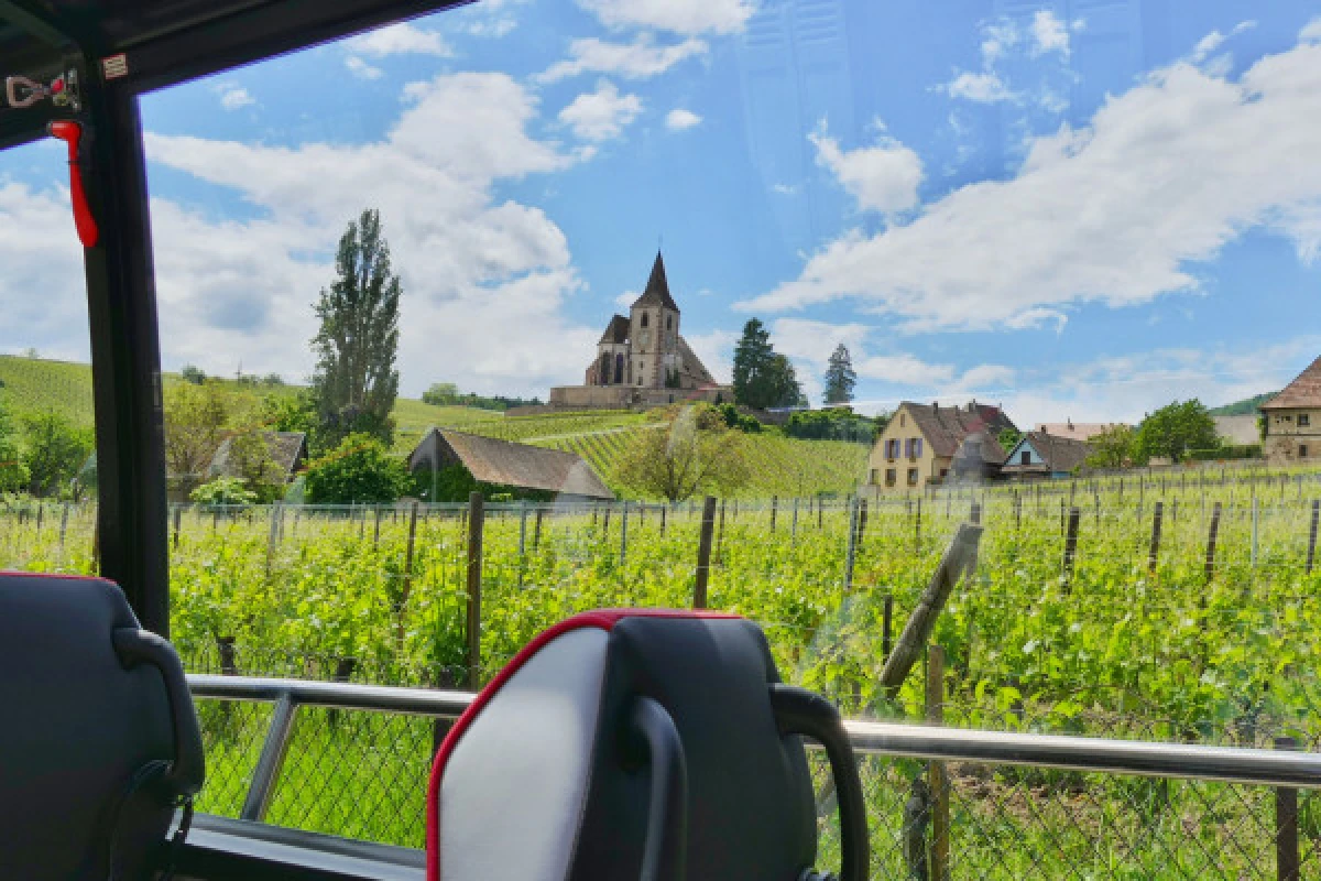 Tour des "Perles du Vignoble" depuis Strasbourg - Exploregion