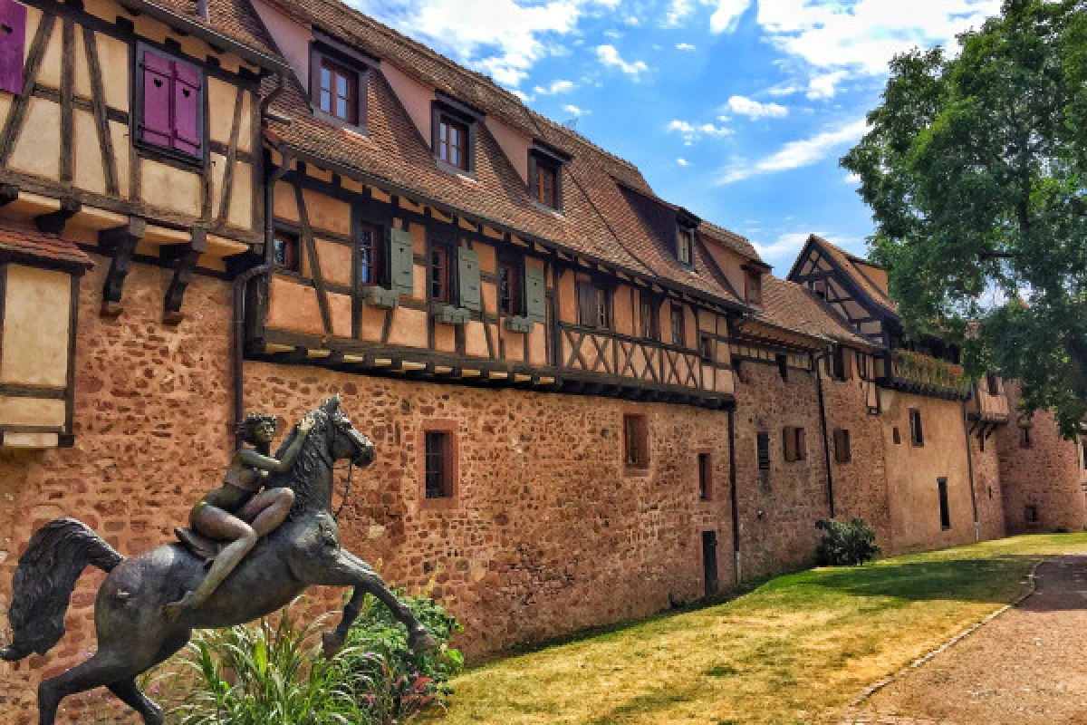 Tour des "Perles du Vignoble" depuis Strasbourg - Exploregion