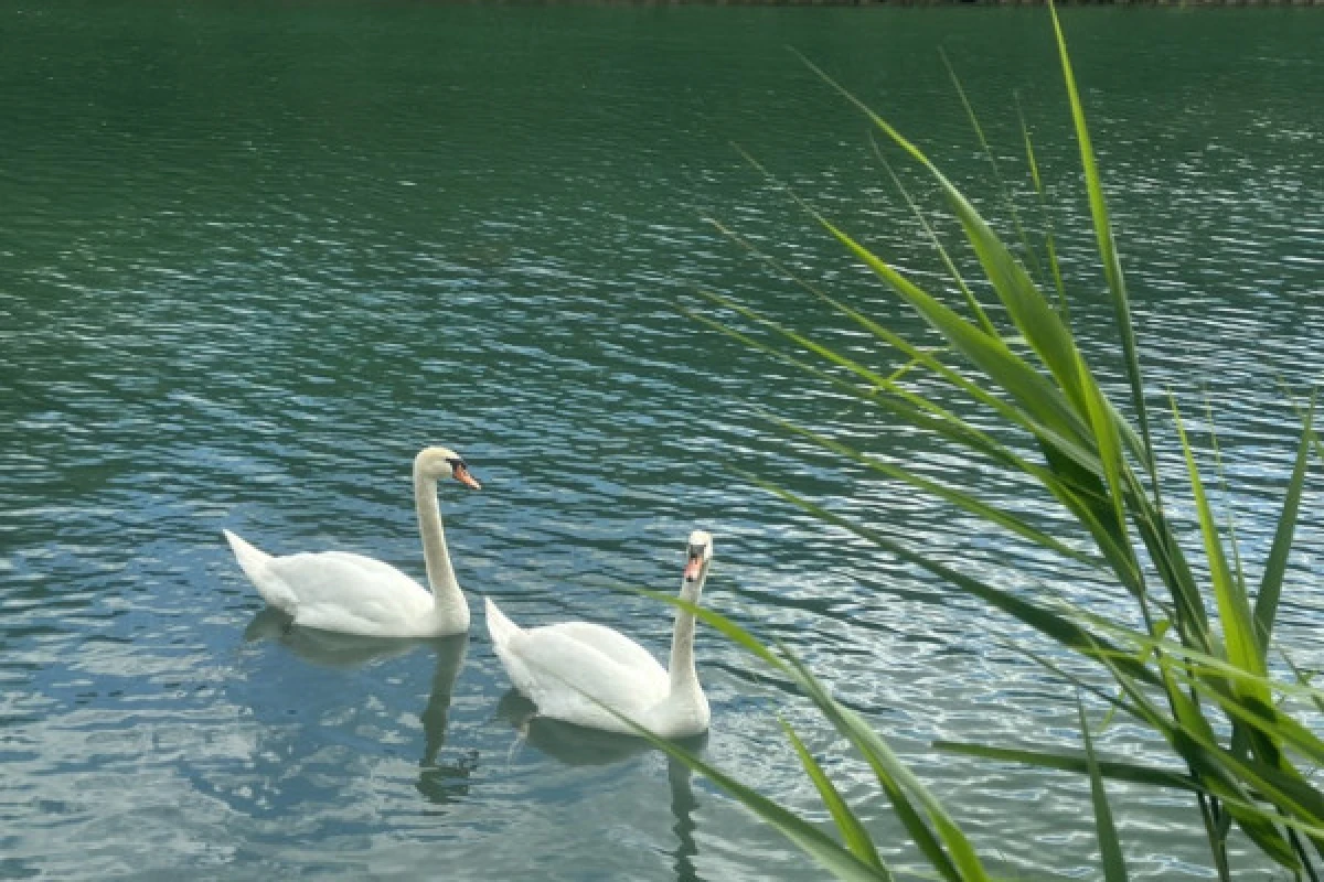 Promenade Semi-Privé en House Boat solaire en Champagne - Exploregion