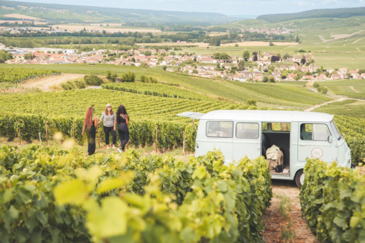 Une journée insolite en Champagne au départ d'Epernay - Exploregion