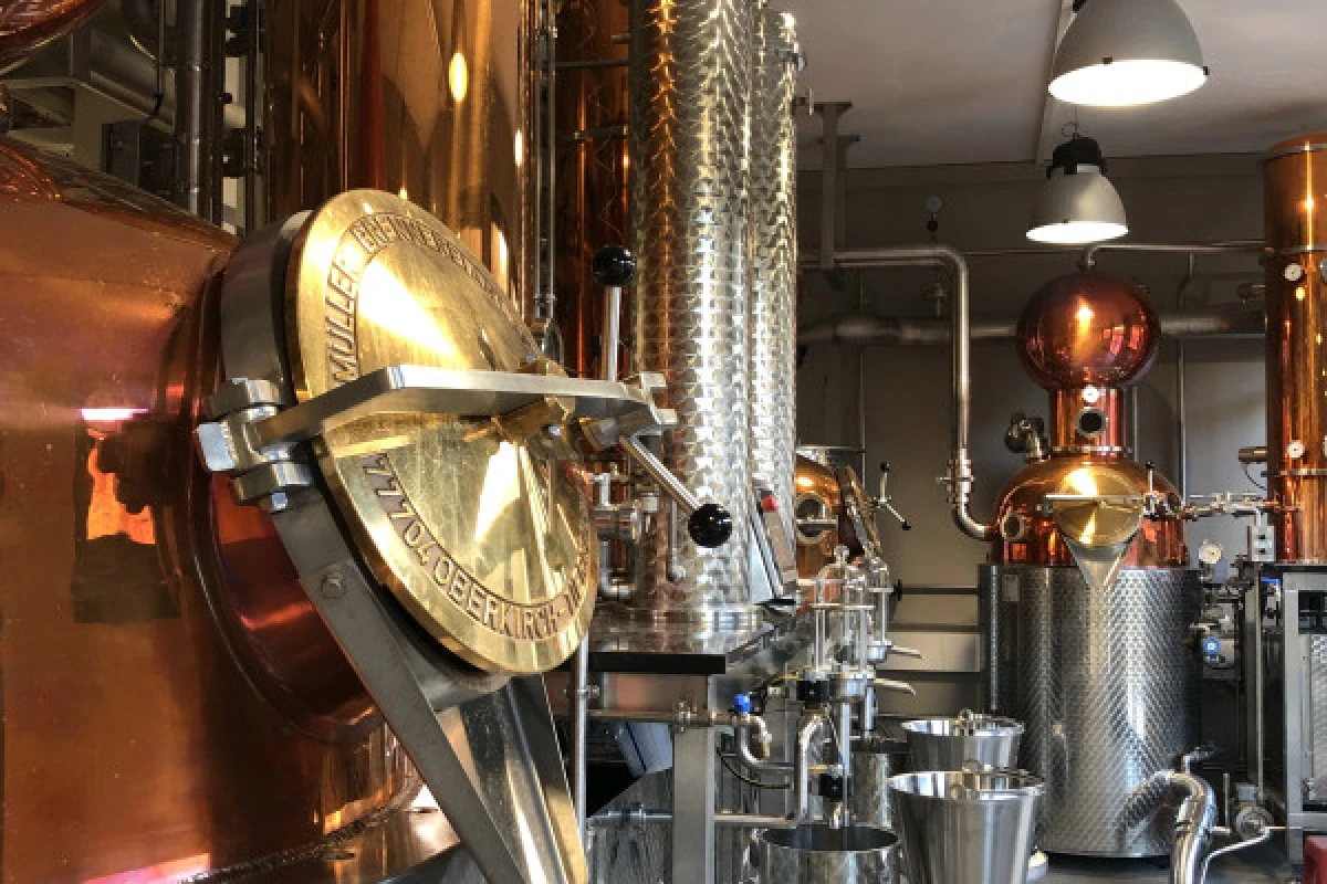 Visite guidée de la distillerie Nusbaumer à Steige - Exploregion