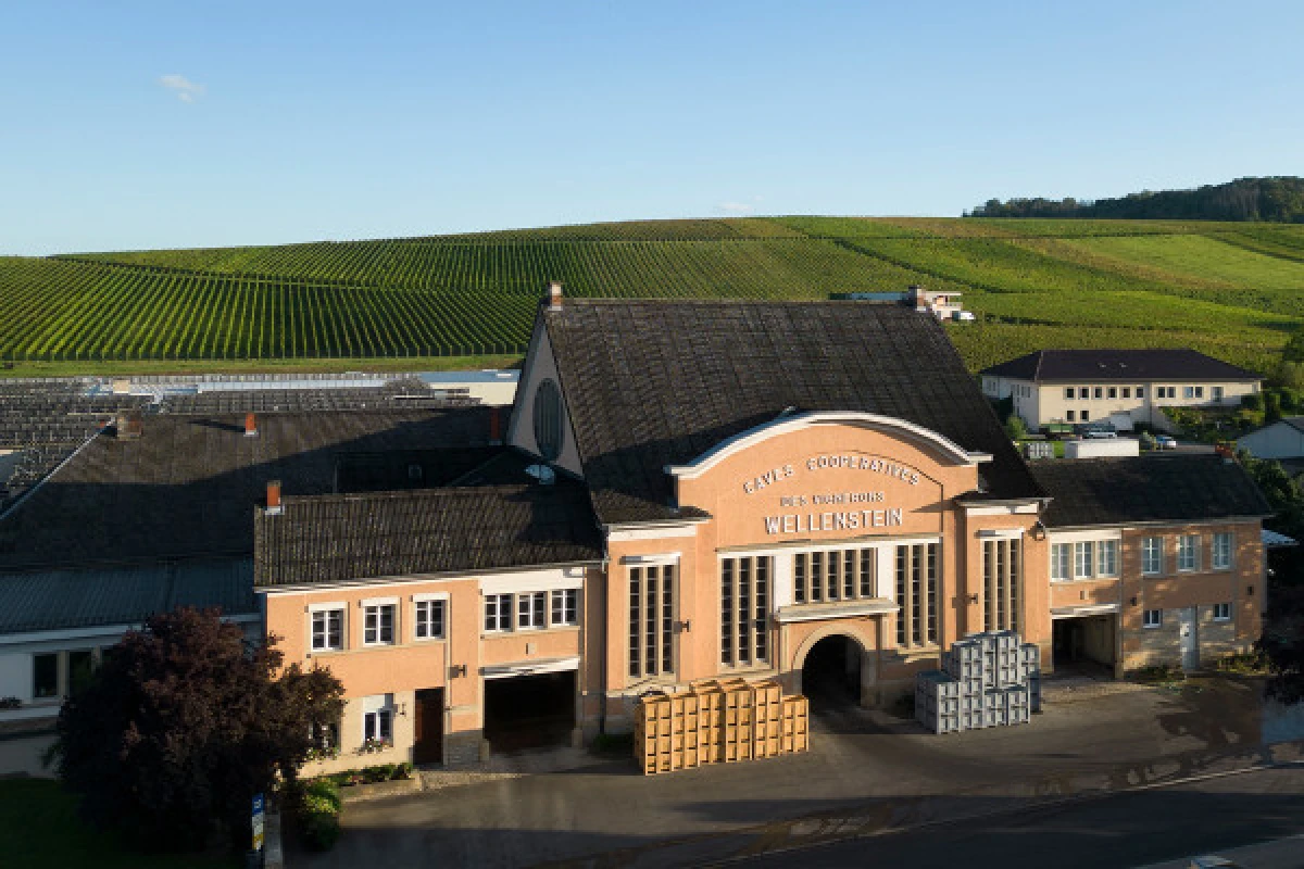 Dégustation - Caves de Wellenstein - Exploregion