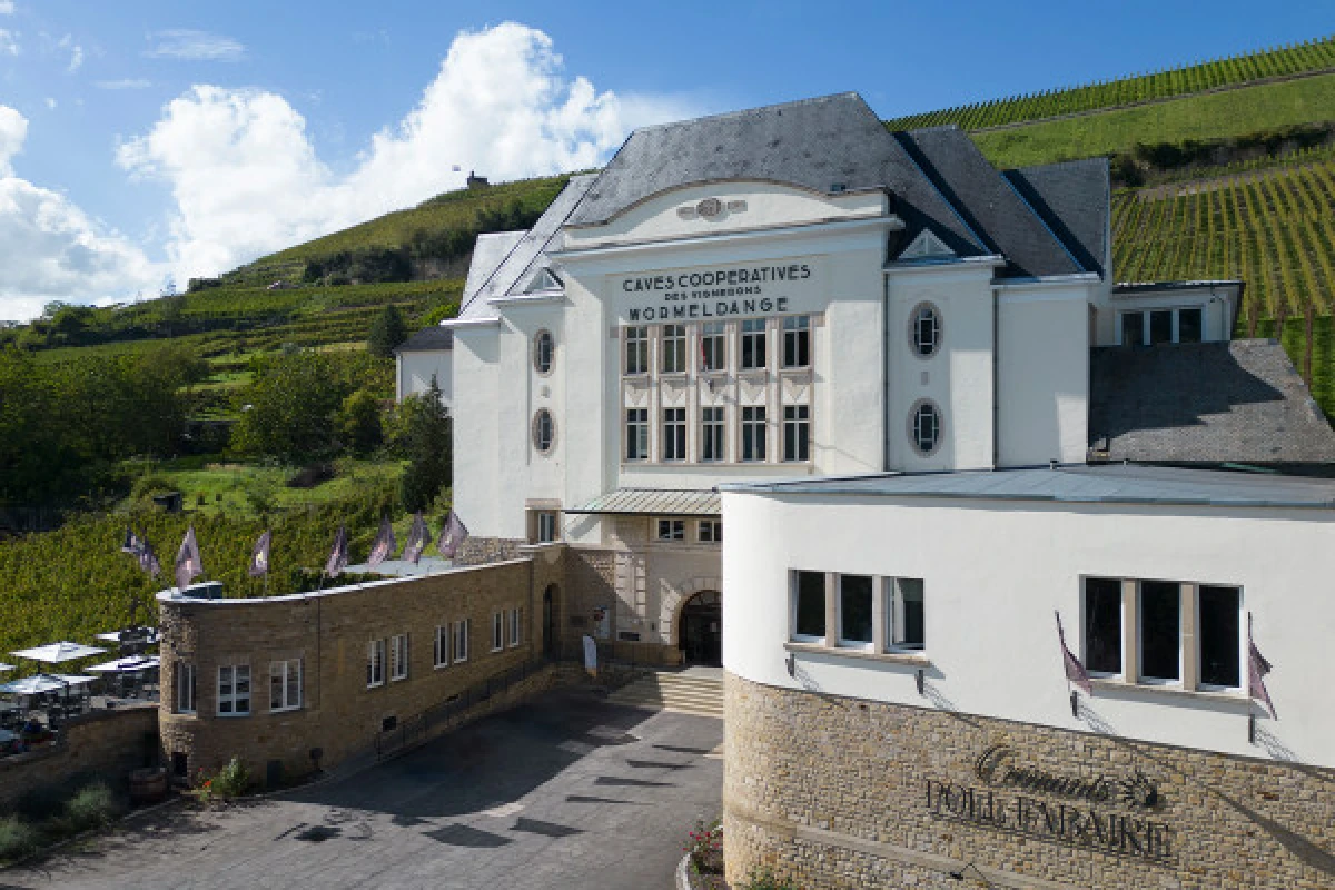 Dégustation - Caves des Crémants POLL-FABAIRE - Exploregion