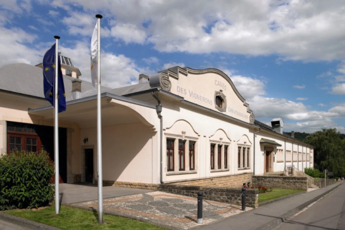 Dégustation - Caves des vignerons de Grevenmacher - Exploregion