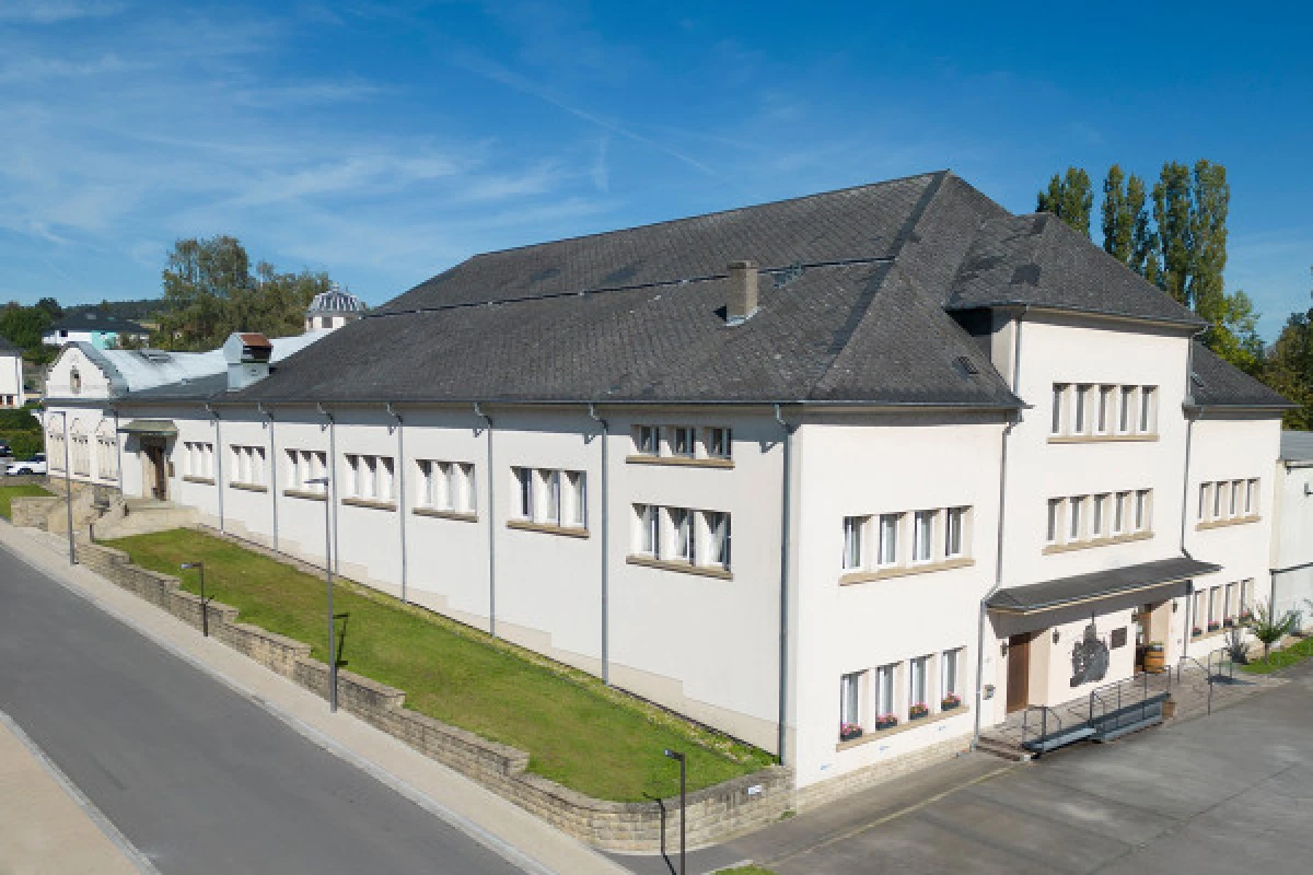 Dégustation - Caves des vignerons de Grevenmacher - Exploregion