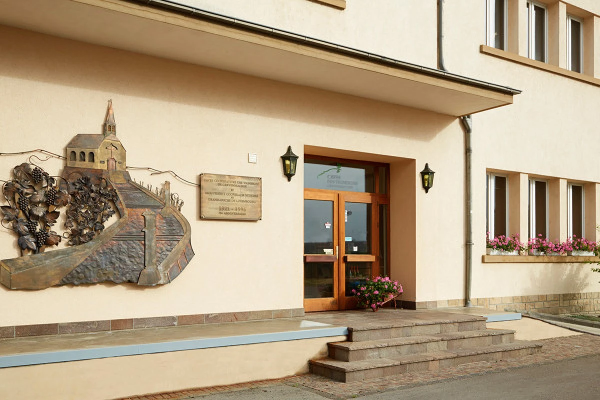 Dégustation - Caves des vignerons de Grevenmacher - Exploregion