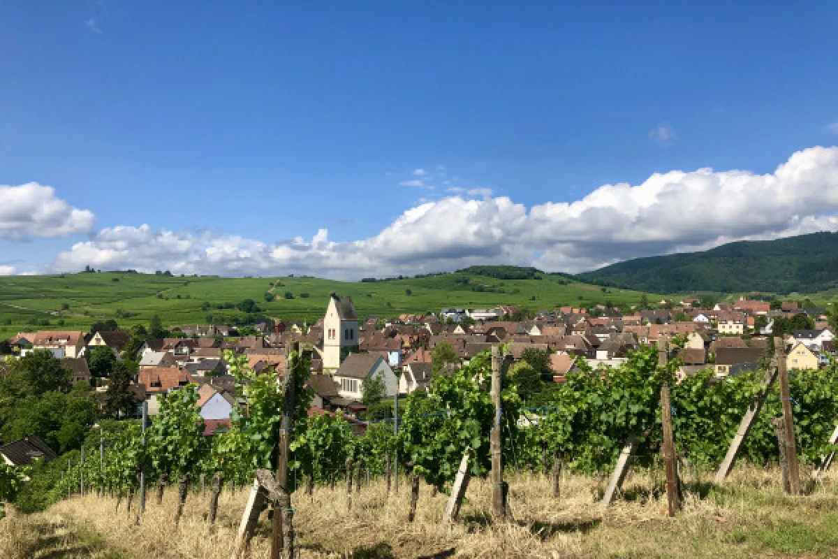 Découverte vigneronne : l'âme d'un domaine - Exploregion