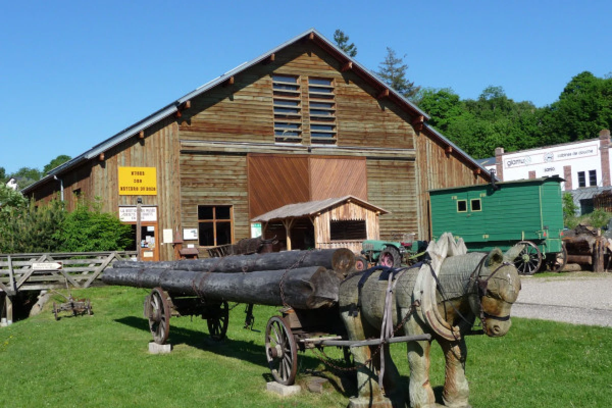 Musée des métiers du bois : Visite guidée - Exploregion