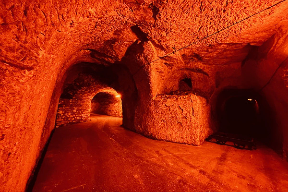 PATRIMOINE CRAYERES - Visite Maréchal de France - Exploregion